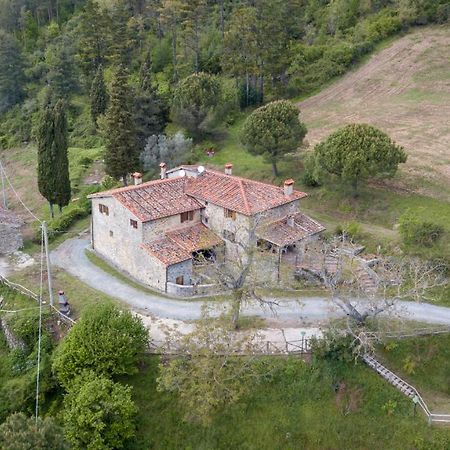 Villa Fattoria Di Cintoia Pontassieve Exterior foto