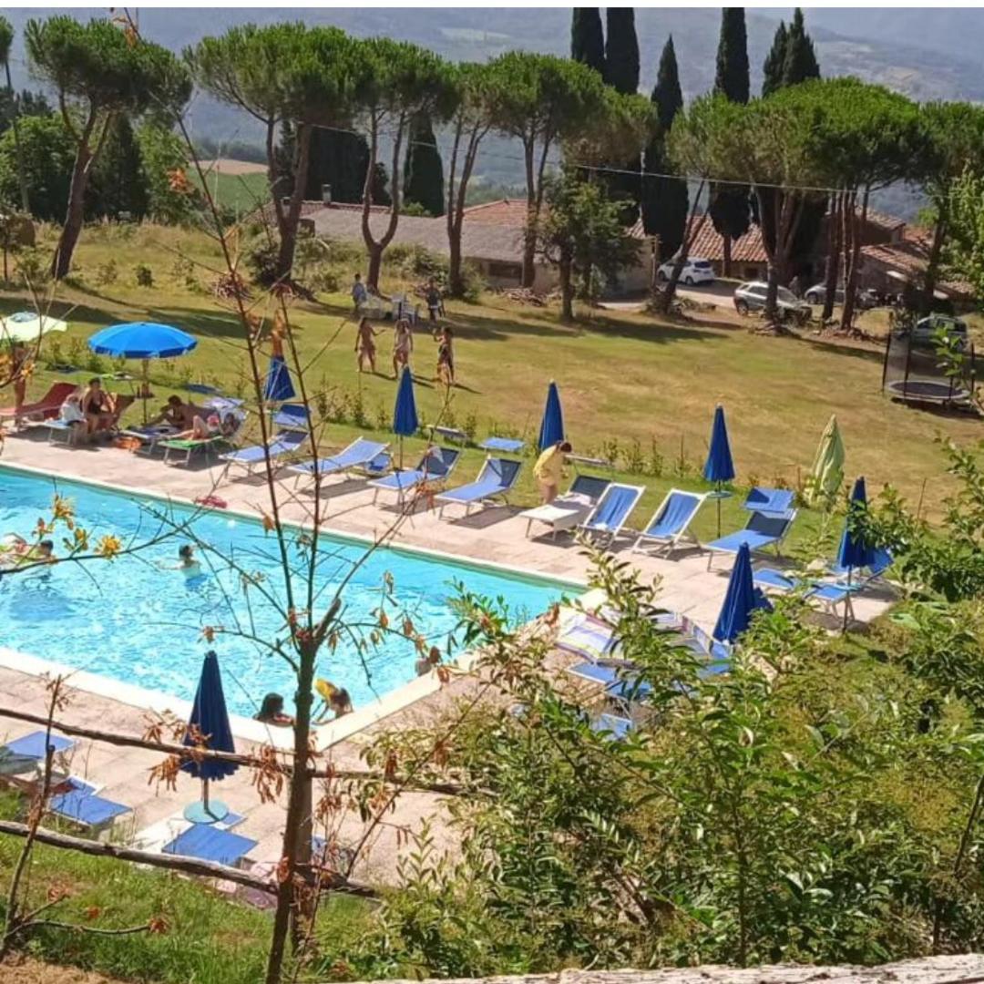 Villa Fattoria Di Cintoia Pontassieve Exterior foto