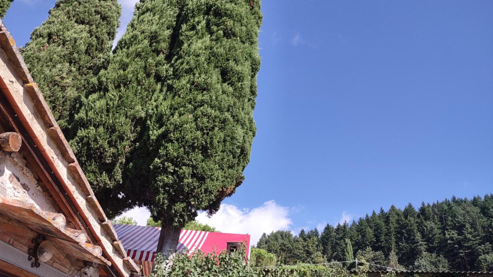Villa Fattoria Di Cintoia Pontassieve Exterior foto