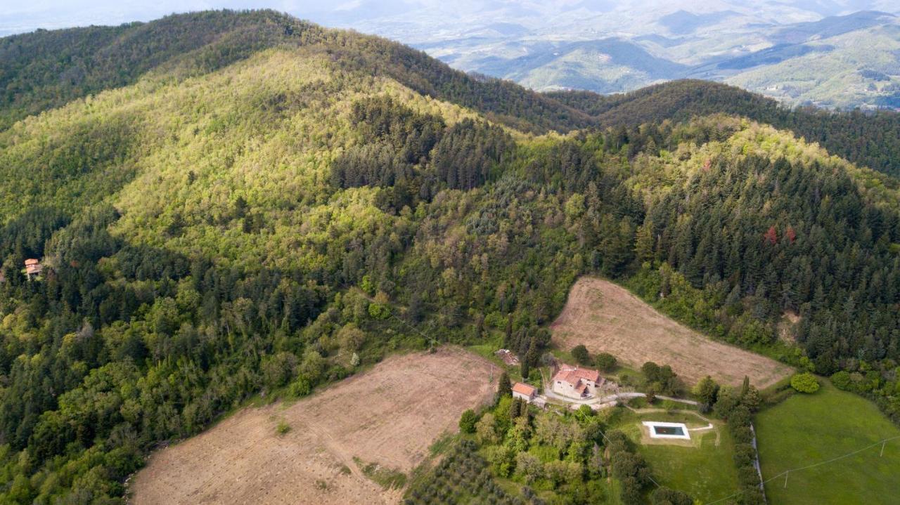 Villa Fattoria Di Cintoia Pontassieve Exterior foto