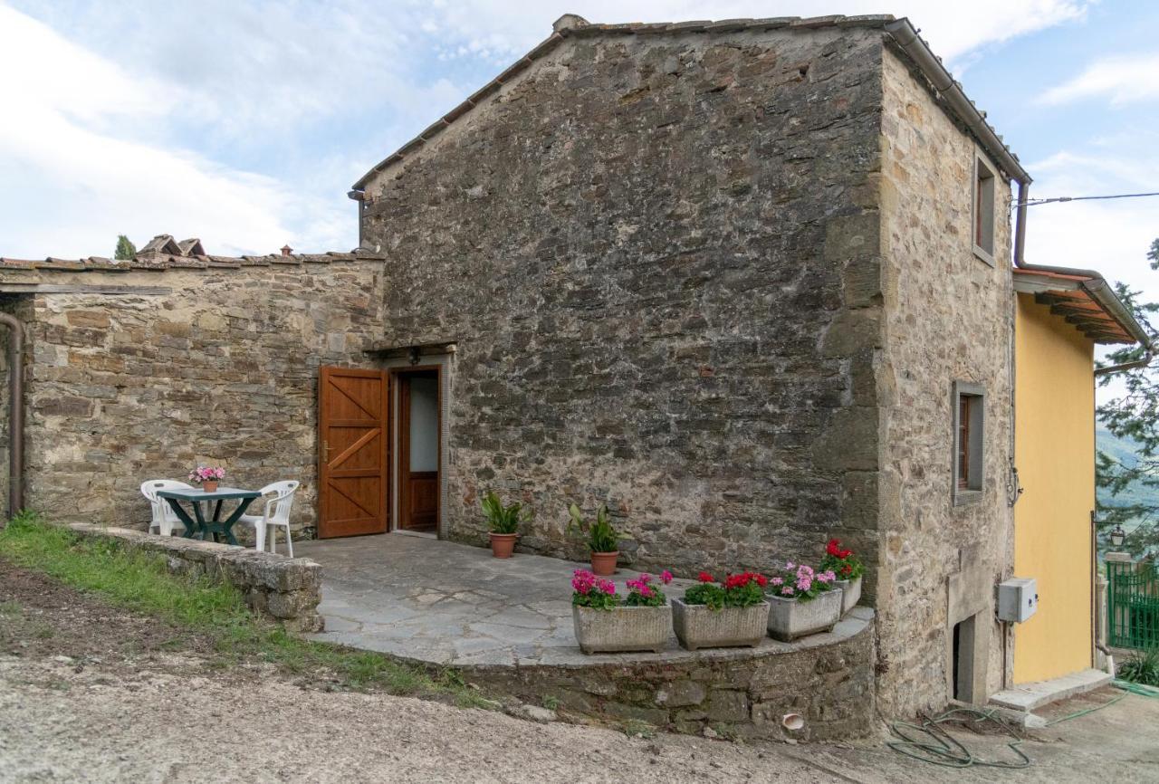 Villa Fattoria Di Cintoia Pontassieve Exterior foto