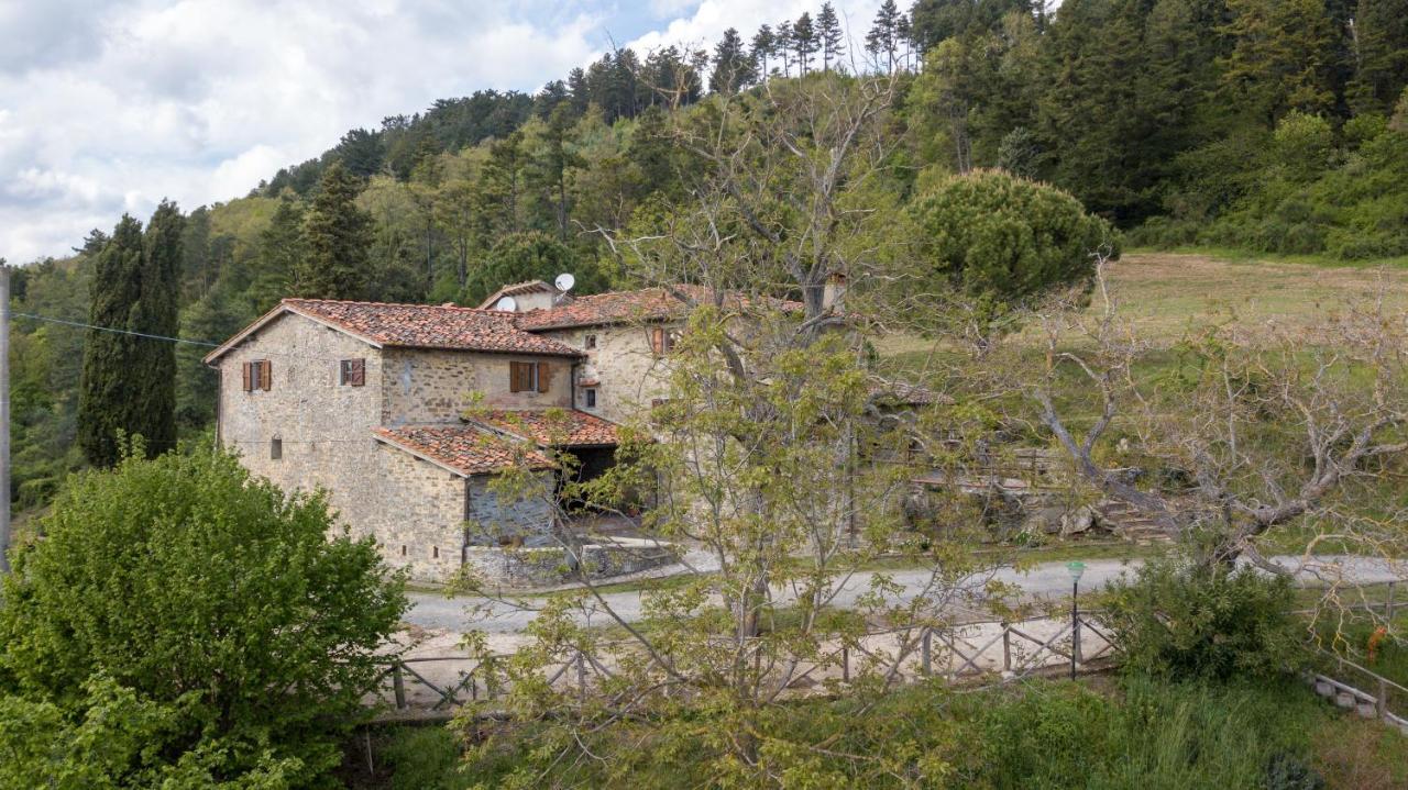 Villa Fattoria Di Cintoia Pontassieve Exterior foto